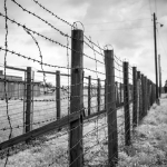 an image of a Nazi concentration camp barbed wire fence and guard tower