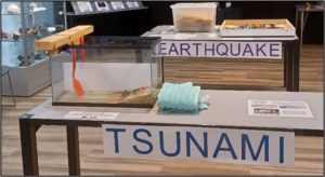 Tsunami Exhibit
