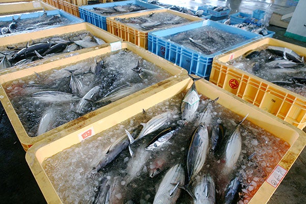 Fisheries