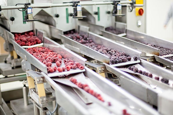 Food Processing Technology and Safety