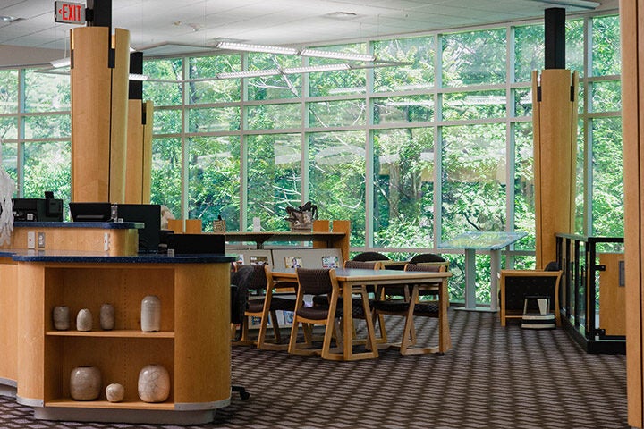 Inside the library with study desks, large windows showcase green trees outside.