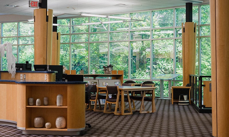 Inside the library with study desks, large windows showcase green trees outside.