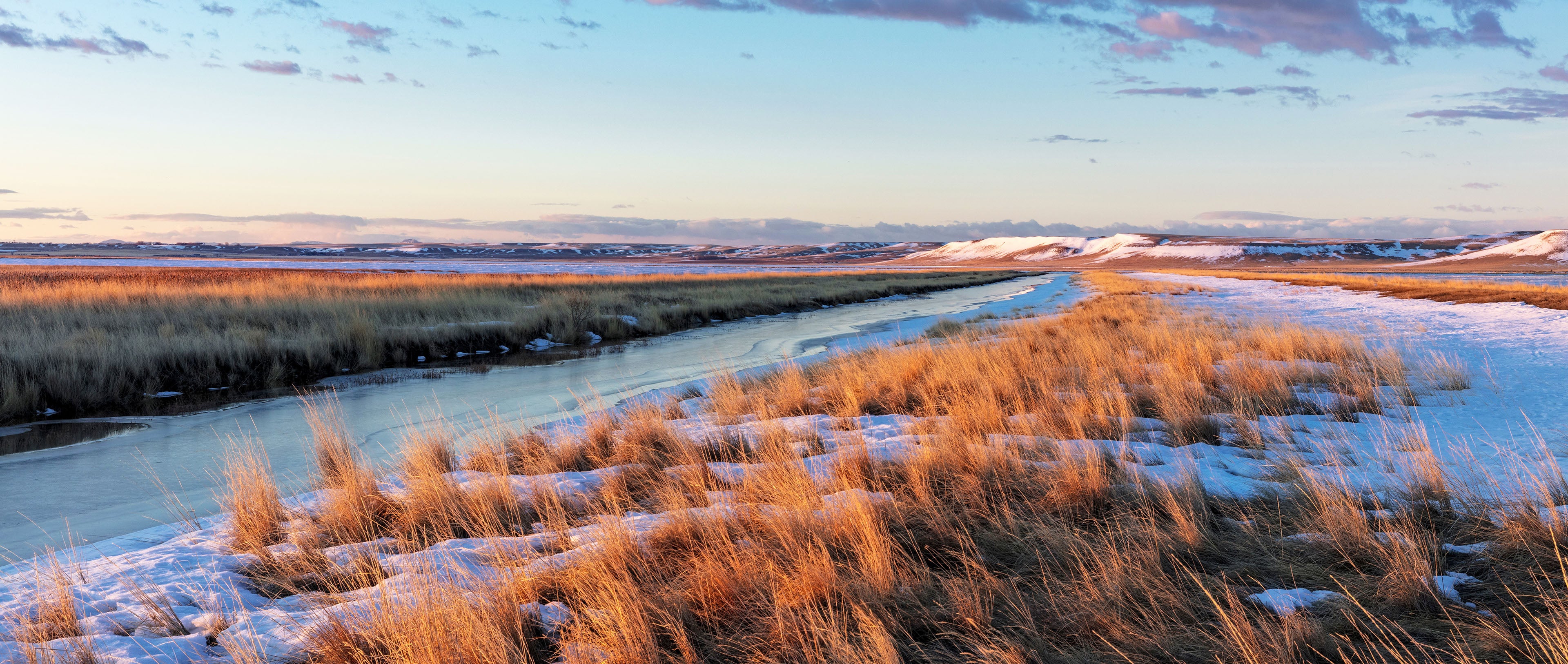 Wildlife management along the great lakes