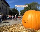 Pumpkin in an outdoor setting