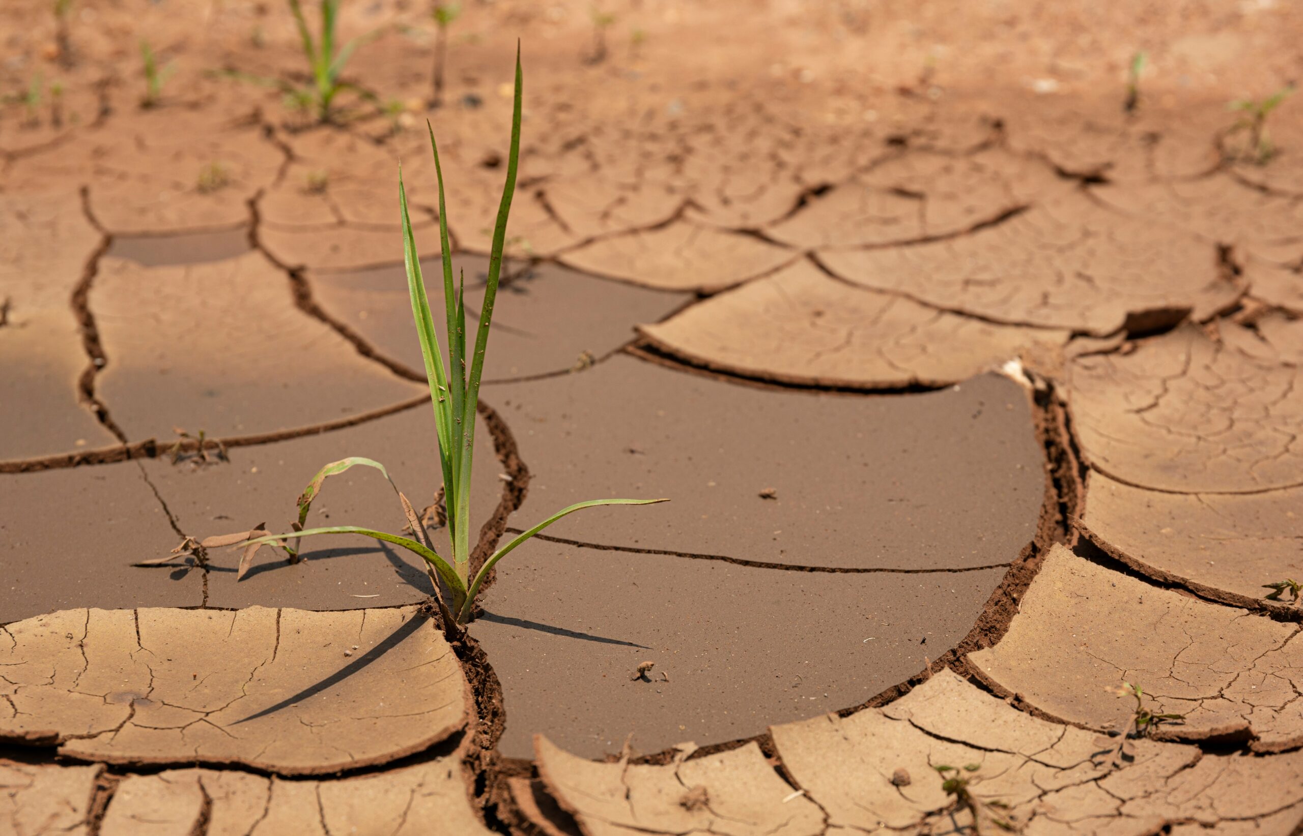 Lecture Aims to Understand Drought, Global Trends and Local Effects