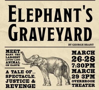 Poster for Elephants Graveyard.