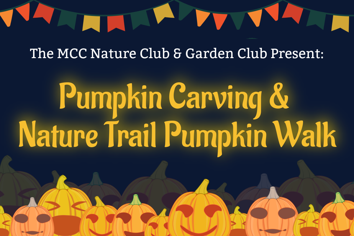 Pumpkin Carving and Pumpkin Walk